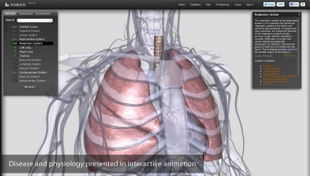 Baixar atlas de anatomia para PC grátis
