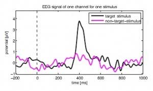 P300 um pico de onda eletromagnética que revela a importância que damos a uma informação