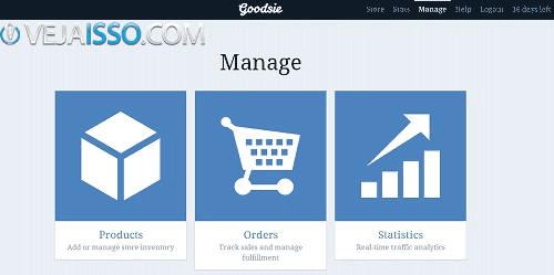 Goodsie é uma outra excelente opção para quem quer criar sua propria loja virtual online mesmo sem saber usar bem o computador