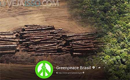 Greenpeace Brasil tenta conscientizar e mobilizar a sociedade a cuidar da natureza e dos animais, um post de cada vez