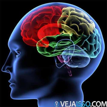 Teste Inteligência Racional, QI e emocional - Como exercitar o cérebro